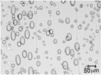 Polymerblend unter Scherung Polymerblend unter Scherung